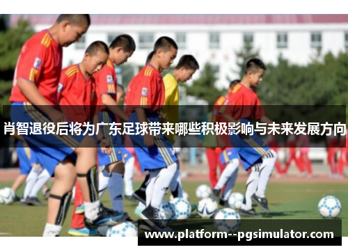 肖智退役后将为广东足球带来哪些积极影响与未来发展方向