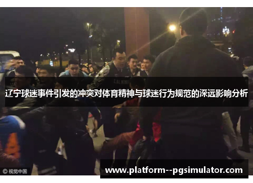辽宁球迷事件引发的冲突对体育精神与球迷行为规范的深远影响分析