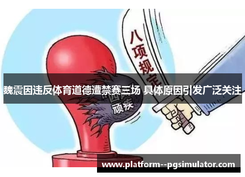 魏震因违反体育道德遭禁赛三场 具体原因引发广泛关注