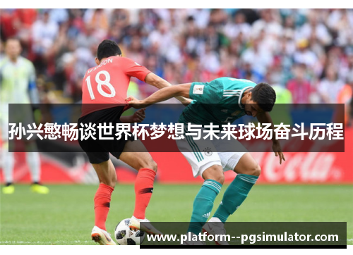 孙兴慜畅谈世界杯梦想与未来球场奋斗历程