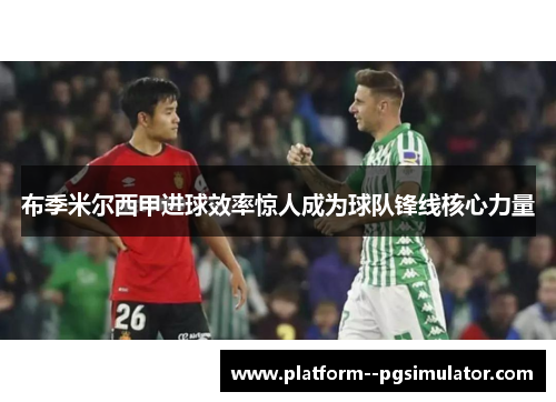 布季米尔西甲进球效率惊人成为球队锋线核心力量