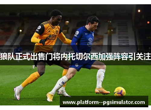 狼队正式出售门将内托切尔西加强阵容引关注