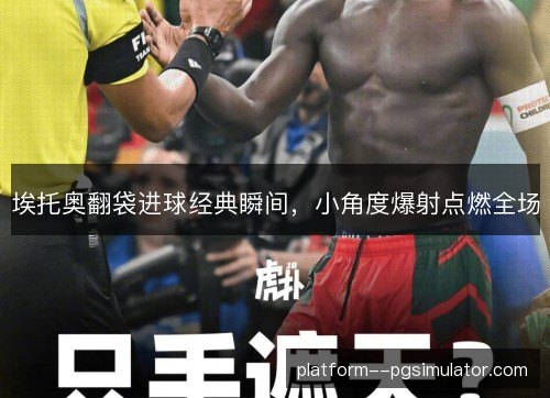 埃托奥翻袋进球经典瞬间，小角度爆射点燃全场